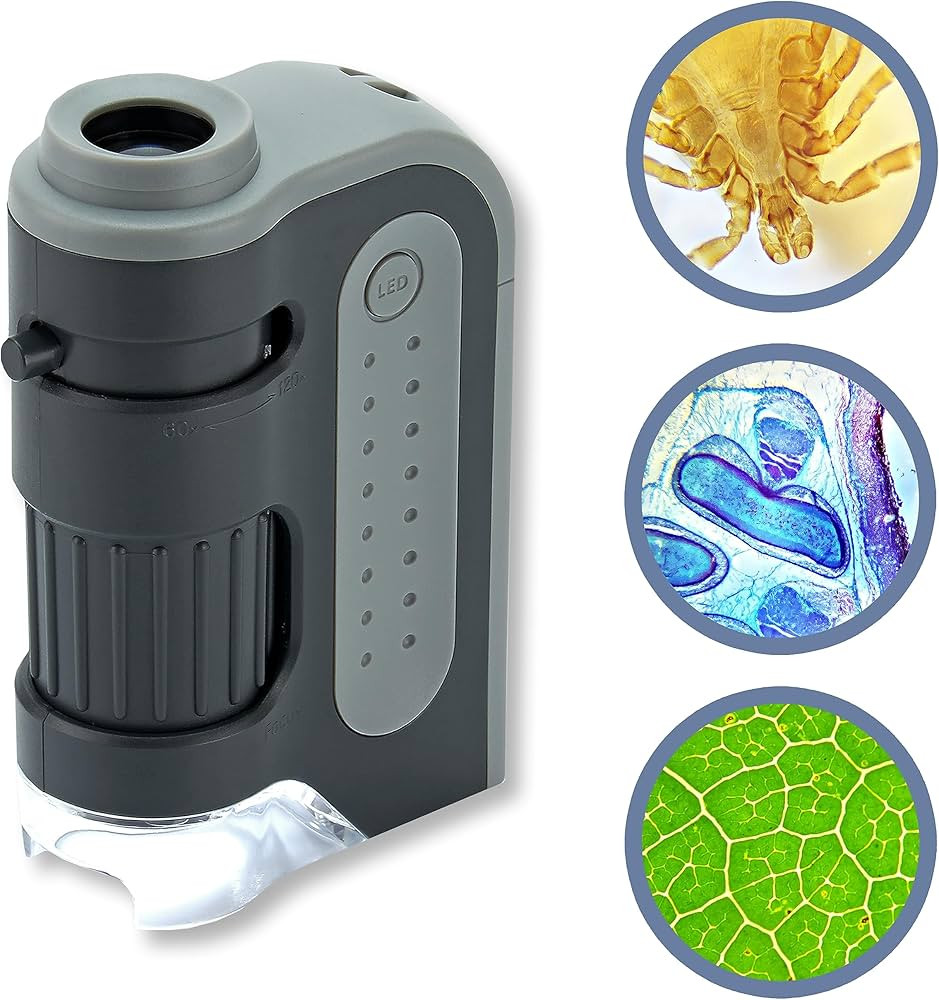 Carson MicroBrite Plus 60x-120x LED Lighted Pocket Microscope (MM-300) | Amazon (US)
