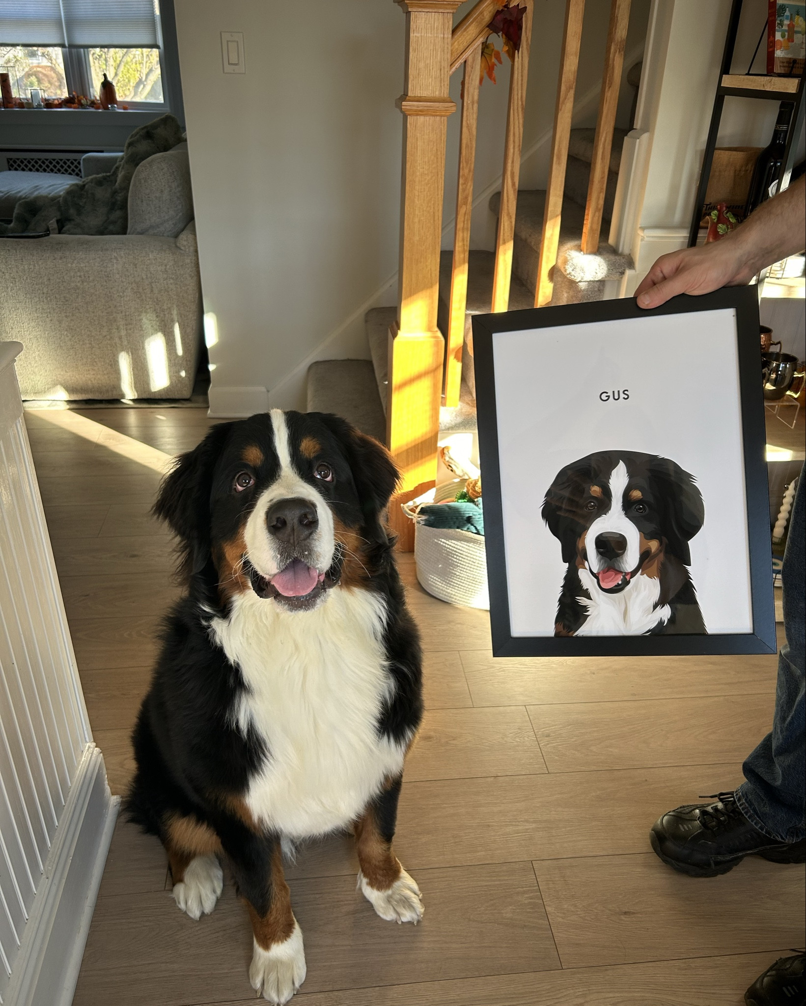 Custom Pet Portrait 🥺💙🐾

#LTKGiftGuide #LTKFamily #LTKHome