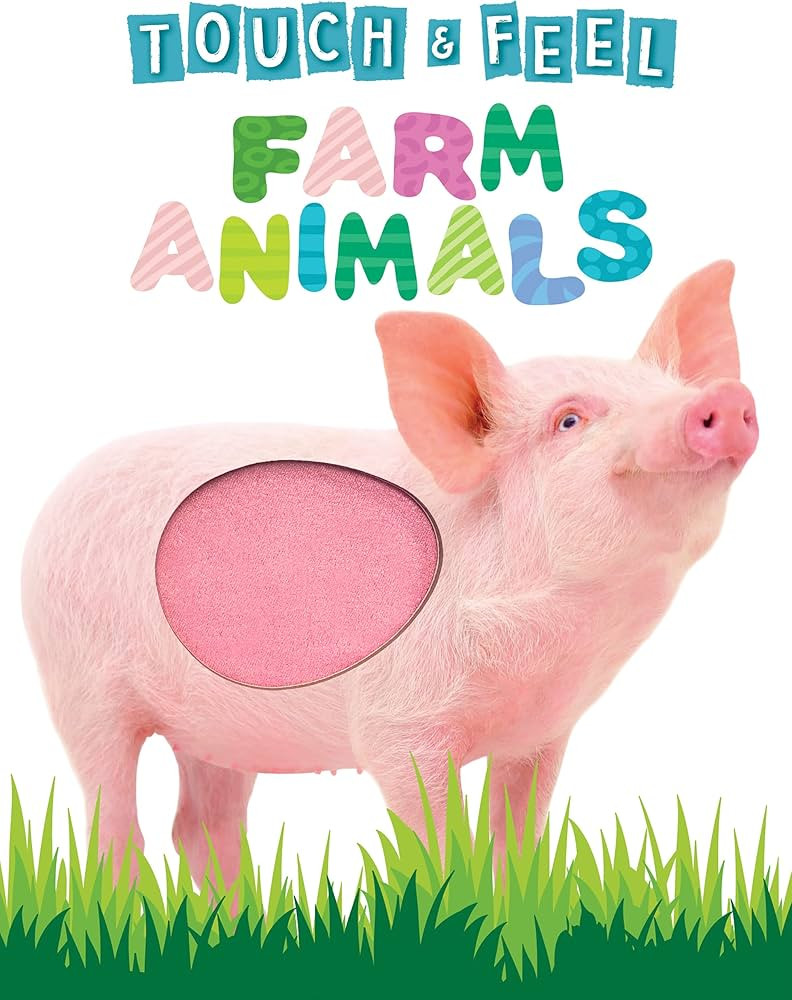Touch and Feel Farm Animals - Novelty Book - Children's Board Book - Interactive Fun Child's Book | Amazon (US)