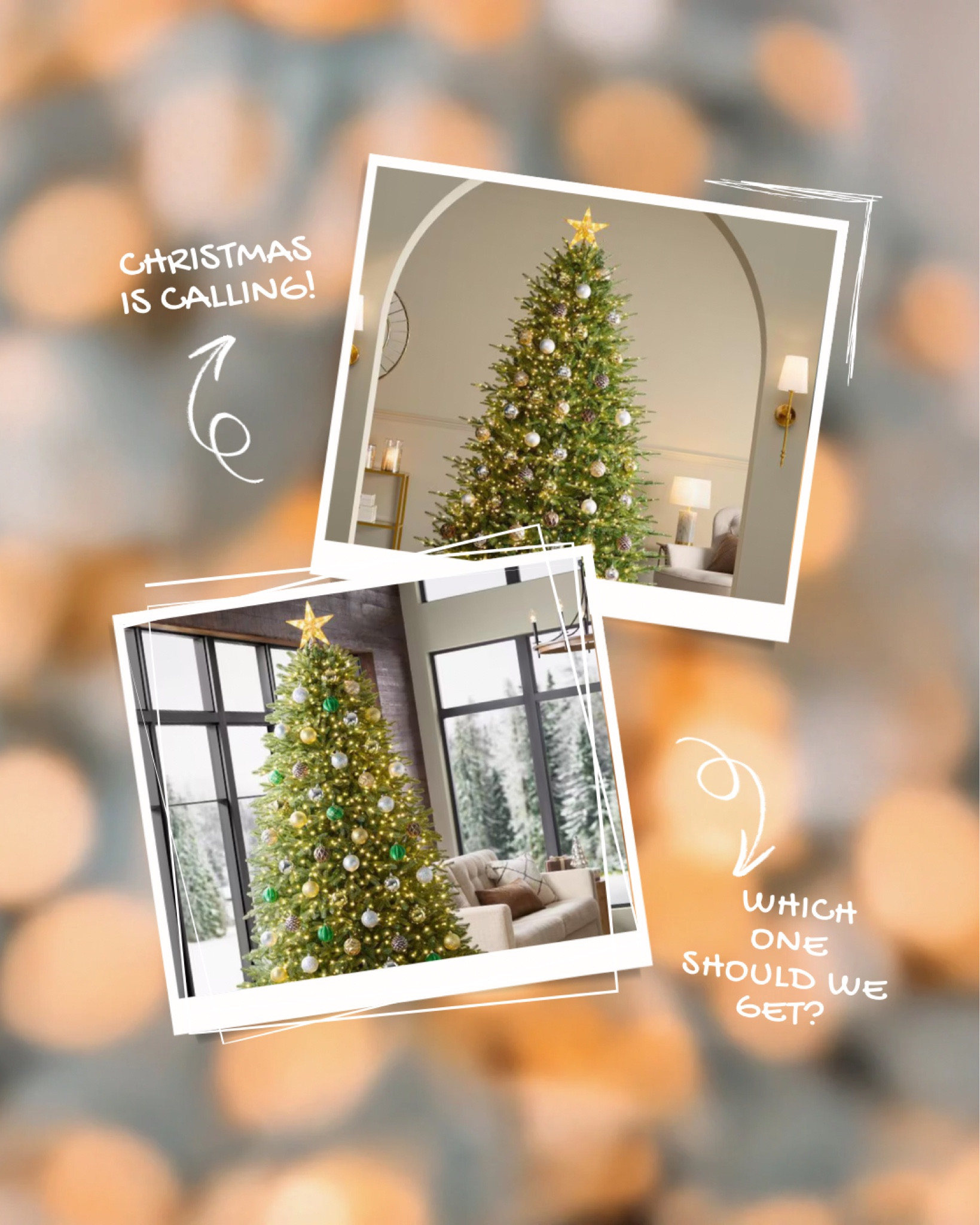 Christmas Countdown: Search for the perfect Christmas tree! Which one would you pick? 

#LTKSeasonal #LTKFamily #LTKHome