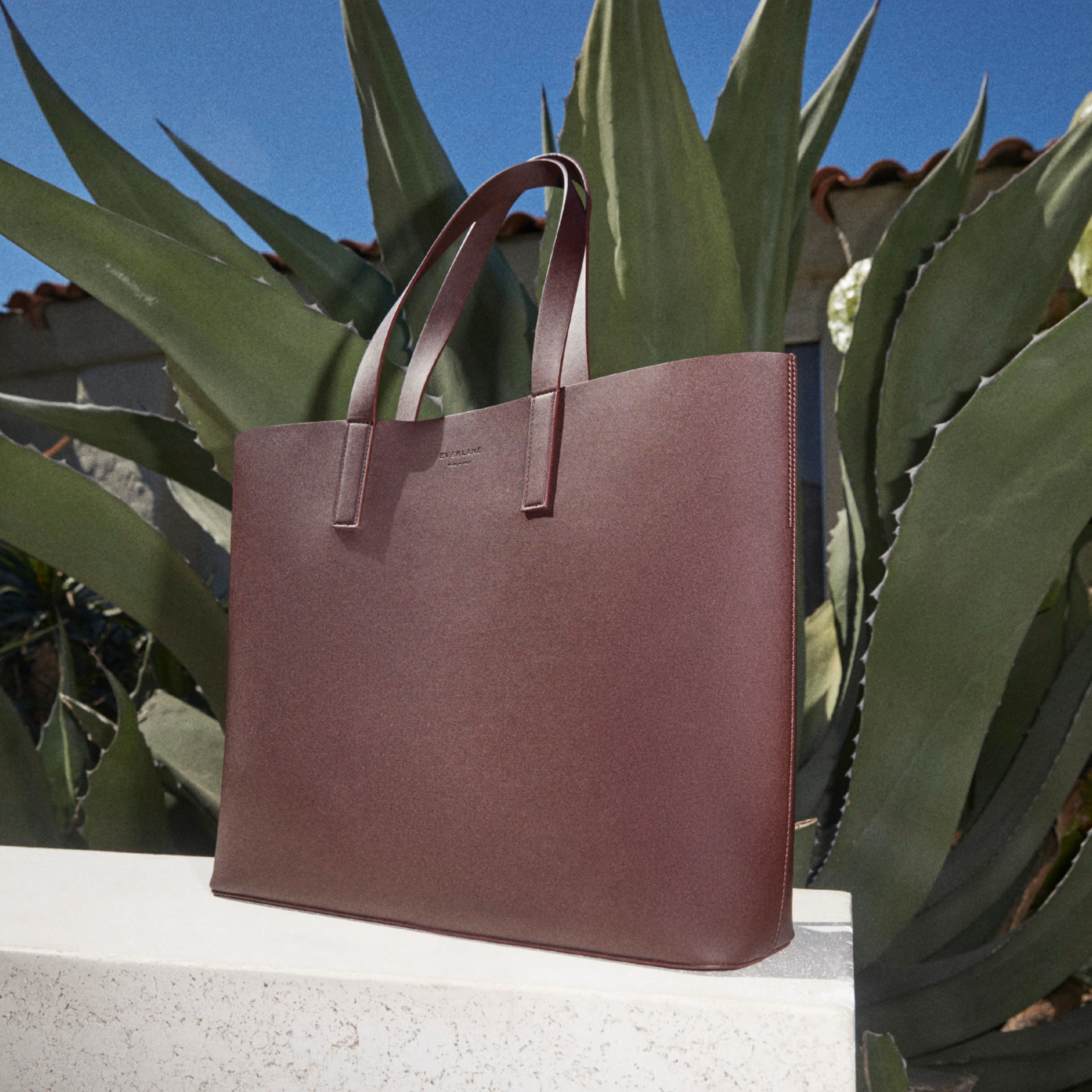 The New Day Market Tote | Everlane