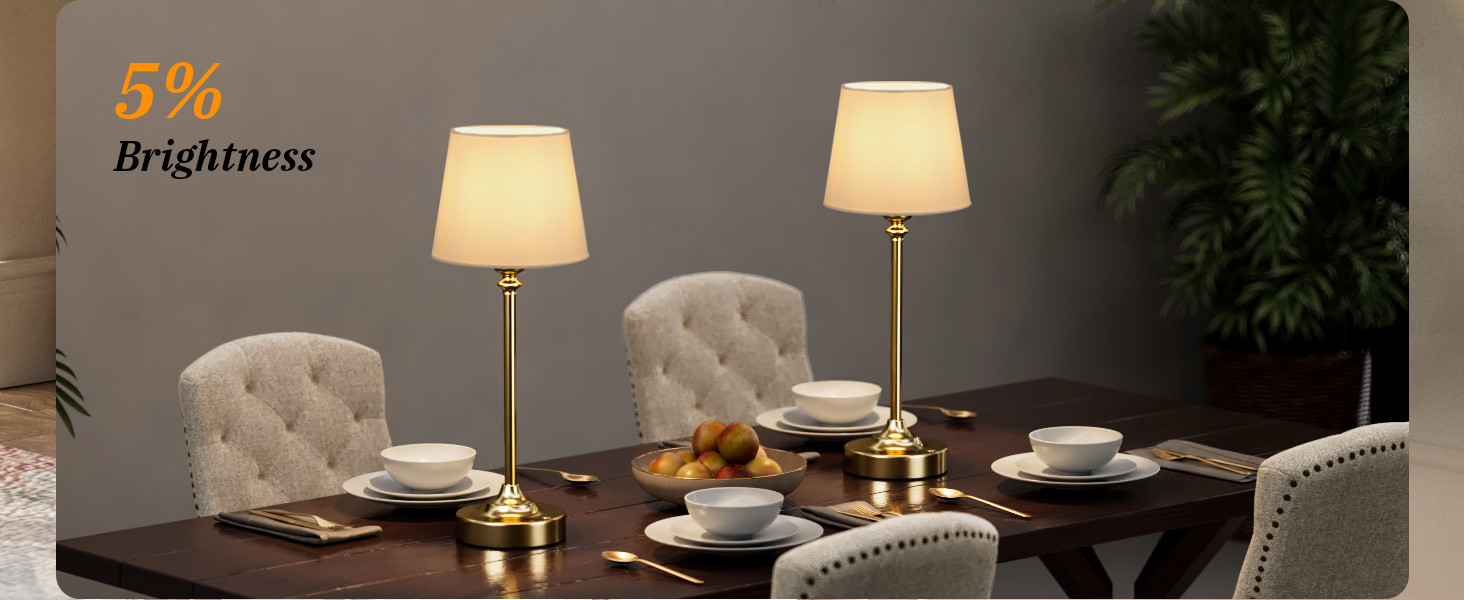 Cordless Table Lamp Rechargeable Gold - 1 Pack Brass 4000mAH Battery Operated Lamp for Decor, 300... | Amazon (US)