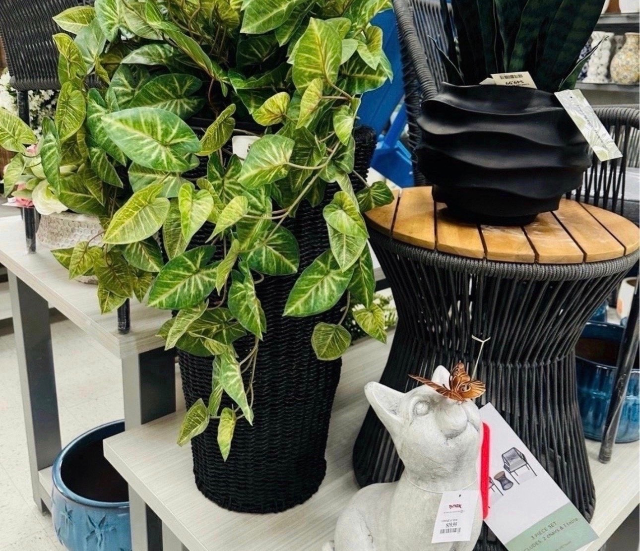 Adding greenery = instant home upgrade 🌿✨
TJ Maxx always has the BEST affordable decor pieces for that cozy aesthetic

#LTKHome