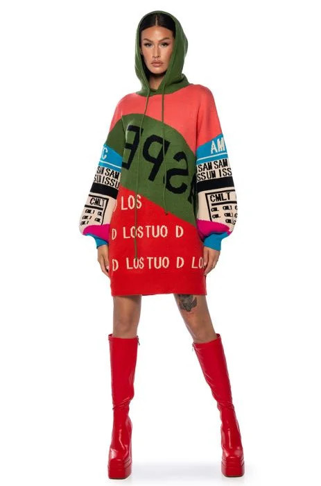 LOUD AND PROUD PULLOVER HOODED SWEATER DRESS | AKIRA