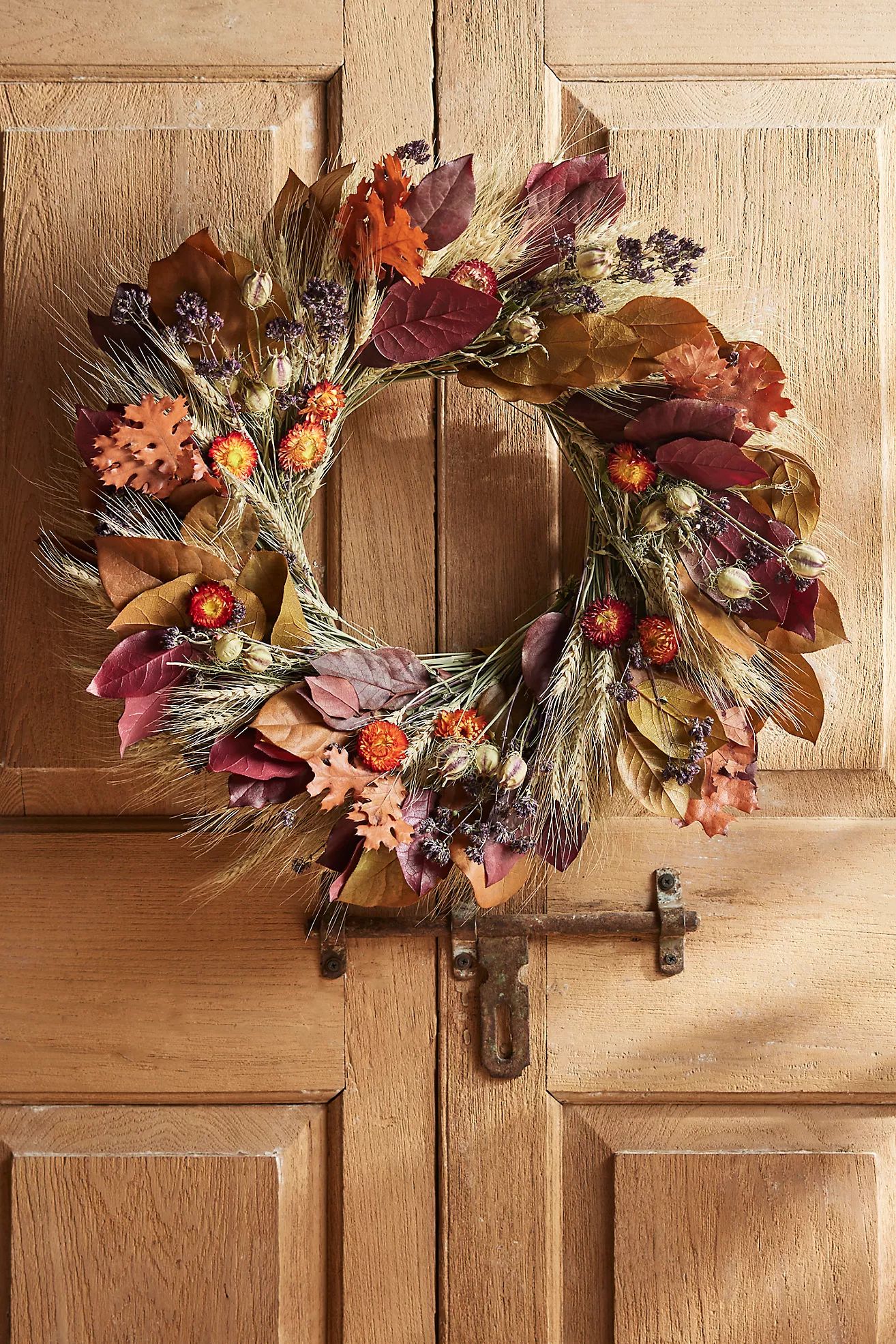 Autumn Harvest Preserved Wreath | Anthropologie (US)