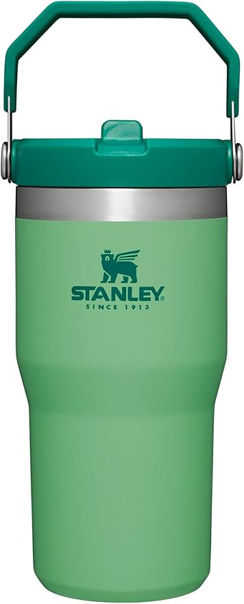 Stanley IceFlow Flip Straw Tumbler with Handle 20 oz | Twist On Lid and Flip Up Straw | Leak Resi... | Amazon (US)