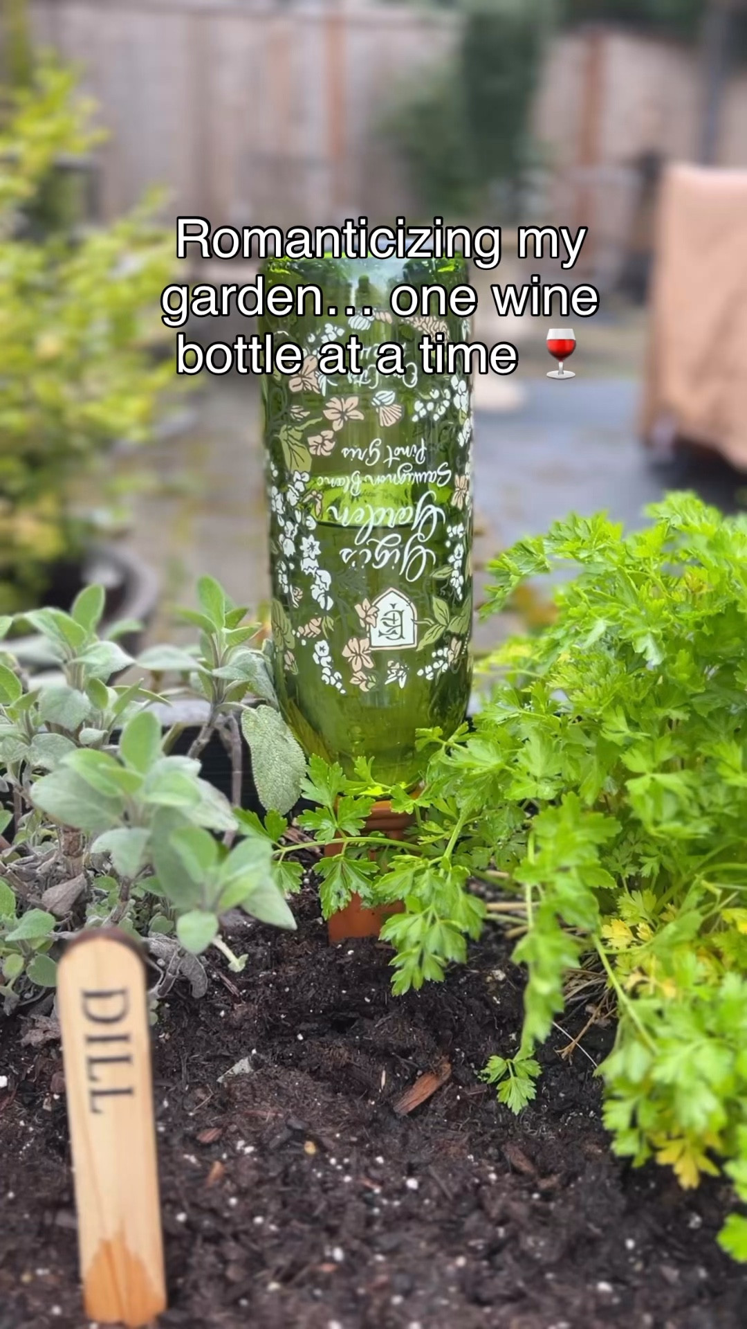 WEEKENDS IN THE GARDEN 👩🏼‍🌾 Watering Spikes are a great way to keep your garden hydrated during the summer….AND …it’s a great use for all those pretty wine bottles😉

Comment SHOP for links! 

Gardening , in the garden, garden girl, over 50

#LTKdayinmylife #LTKOver40 #LTKHome
