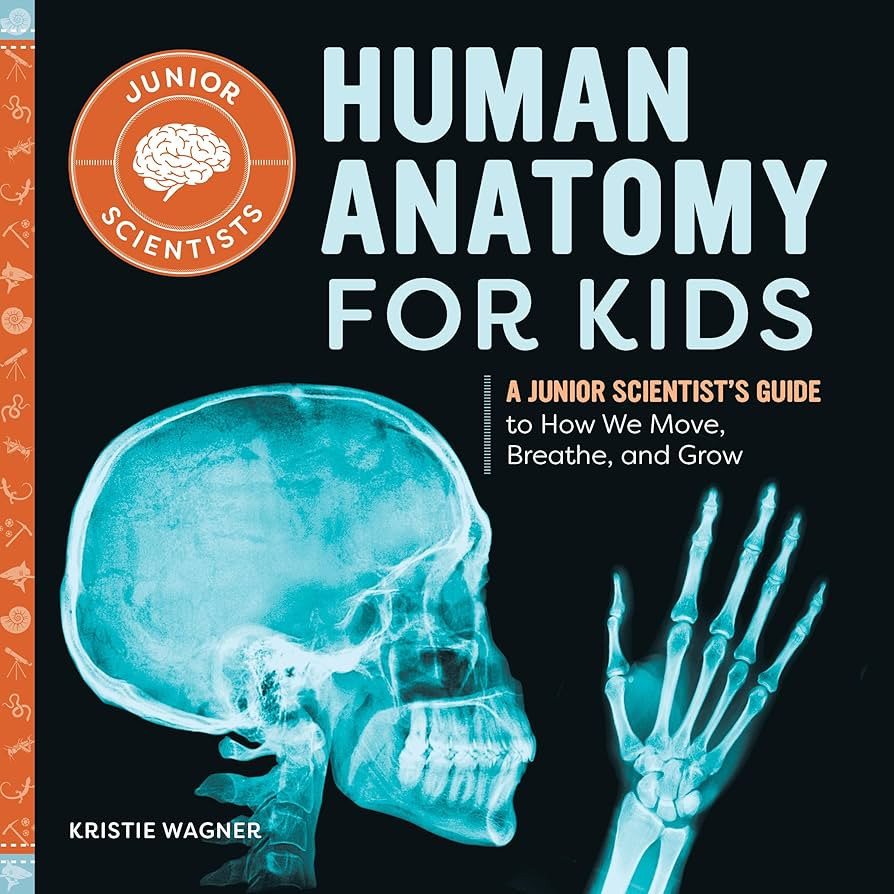 Human Anatomy for Kids: A Junior Scientist's Guide to How We Move, Breathe, and Grow | Amazon (US)