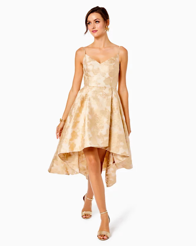 Alisalynn Floral Dress | Lilly Pulitzer | Lilly Pulitzer