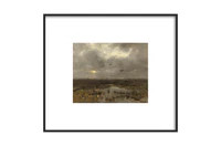 Marshlands | North and Finch