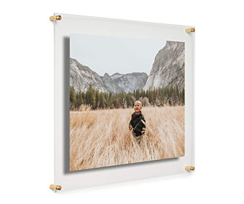 Cool Modern Frames Clear Floating Double Panel Acrylic Picture Frame, 16x20-Inch, Gold Hardware | Amazon (US)