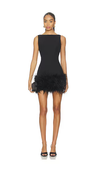 Fauzia Mini Dress | Revolve Clothing (Global)