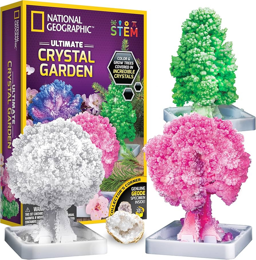 NATIONAL GEOGRAPHIC Craft Kits for Kids - Crystal Growing Kit - Grow a Crystal Garden in Just 6 H... | Amazon (US)
