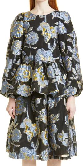 Jenny Floral Long Sleeve Organza Top | Nordstrom