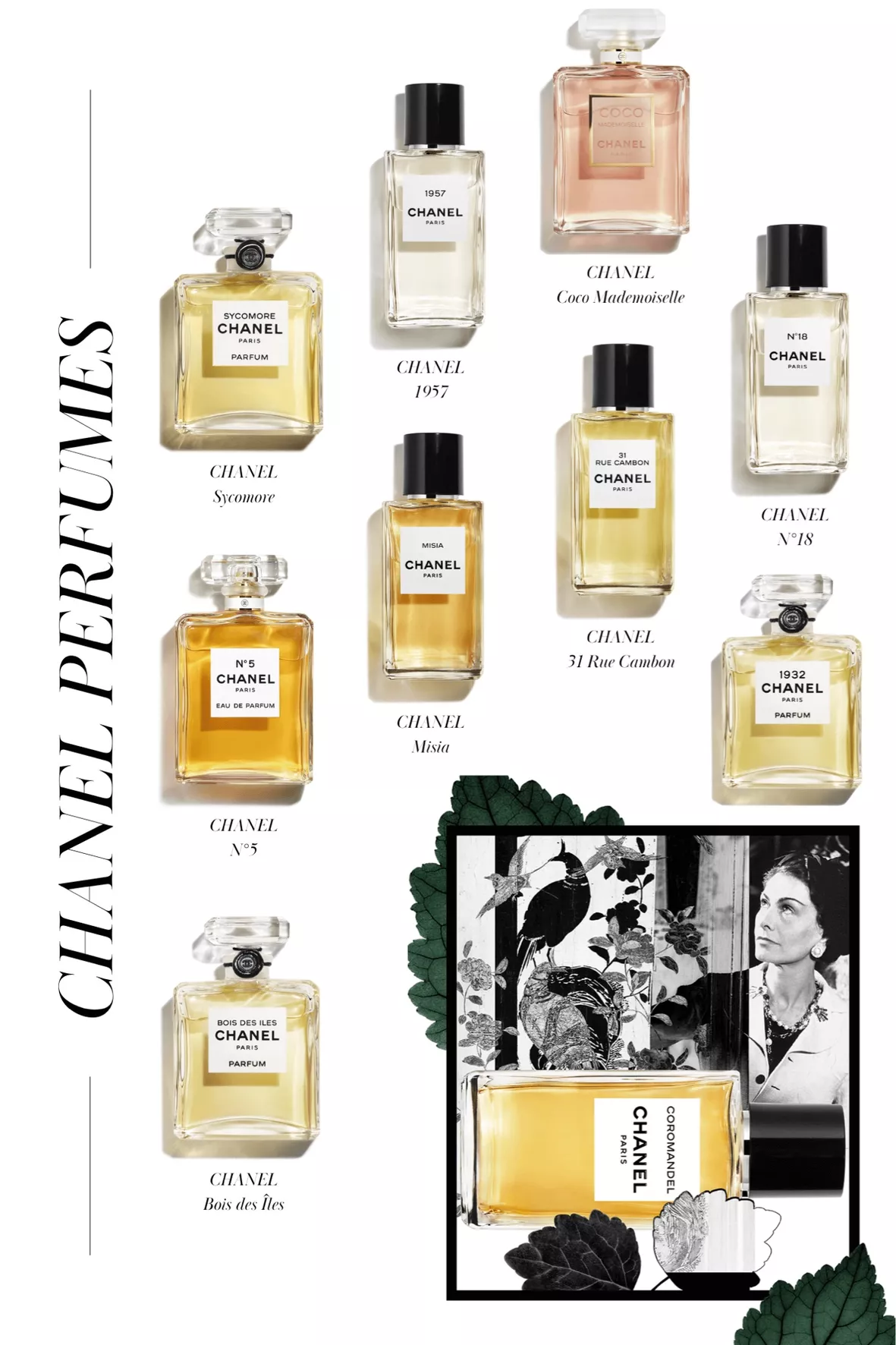 Fragrance Review: Chanel – Coco Mademoiselle – A Tea-Scented Library