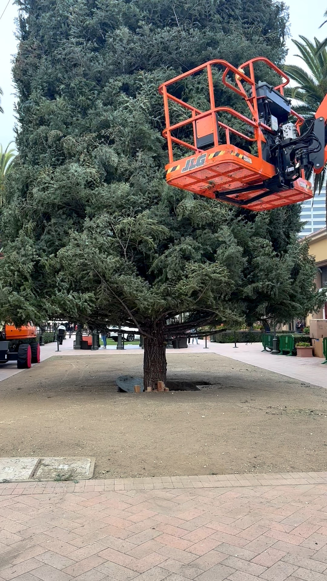 Christmas tree installation in progress — the holiday magic is starting to take shape. 🎄✨

Hashtags:
#ChristmasTree #HolidayDecor #FestiveSeason #DeckTheHalls #HolidayHome #InProgress #TisTheSeason #ChristmasVibes #HolidayMagic

#LTKHome #LTKTravel #LTKHoliday