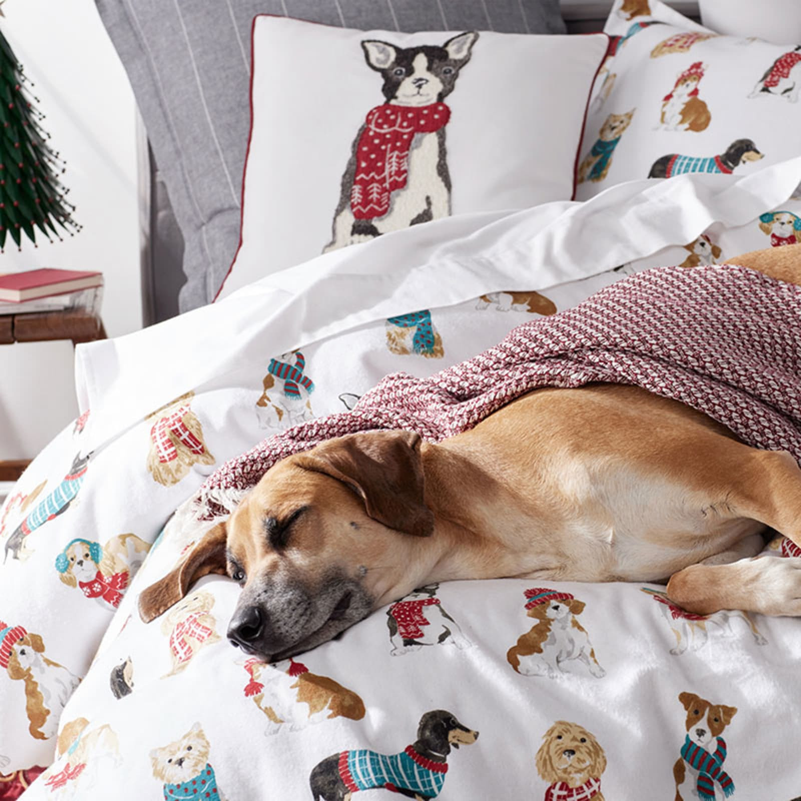 Terrier | The Company Store