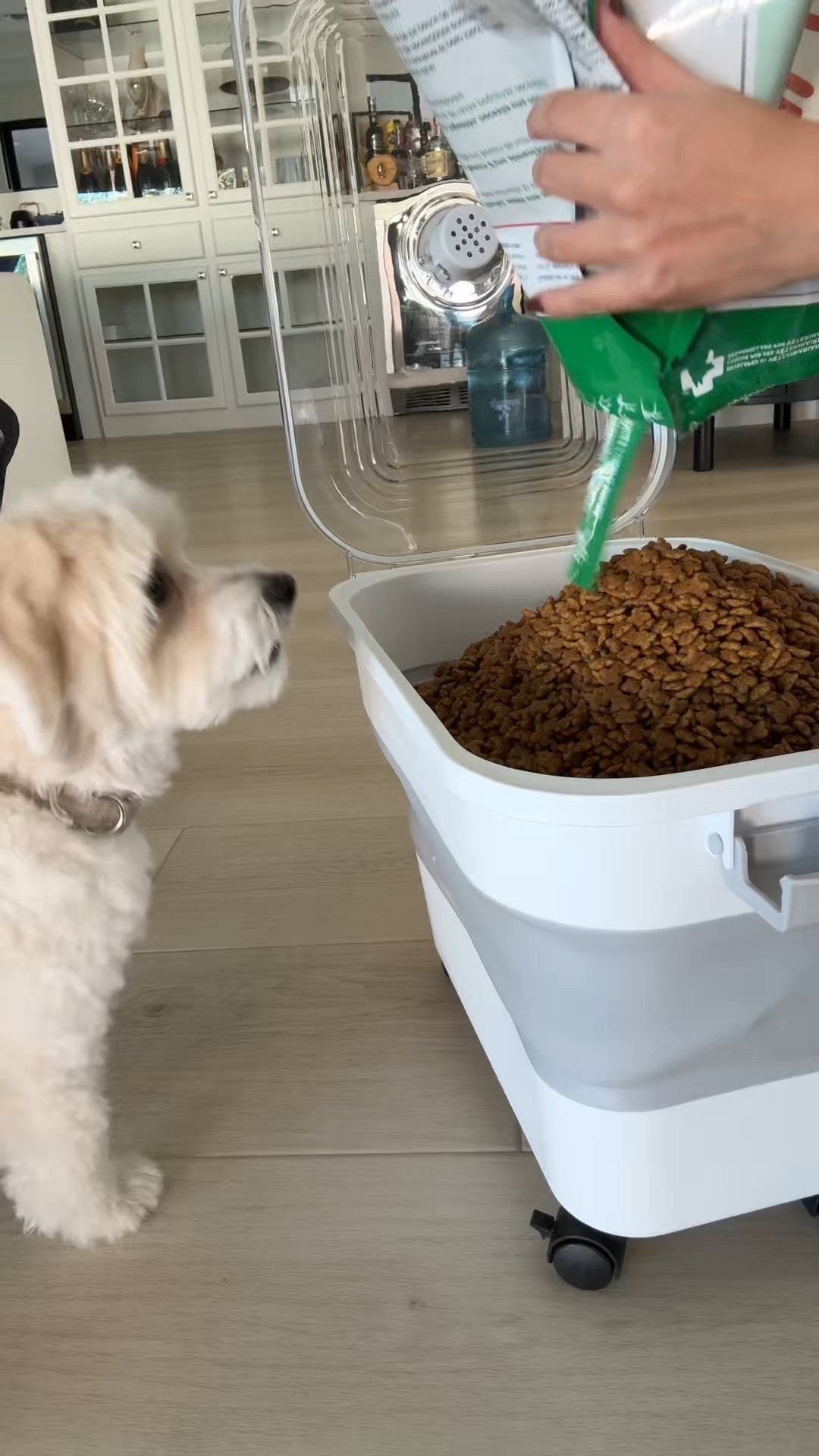 Collapsible dog food storage container - 23lbs storage 


#pets #dogfoodstorage #smalldogs #collapsiblefoodstorage #homehacks 

#LTKPets #LTKHome