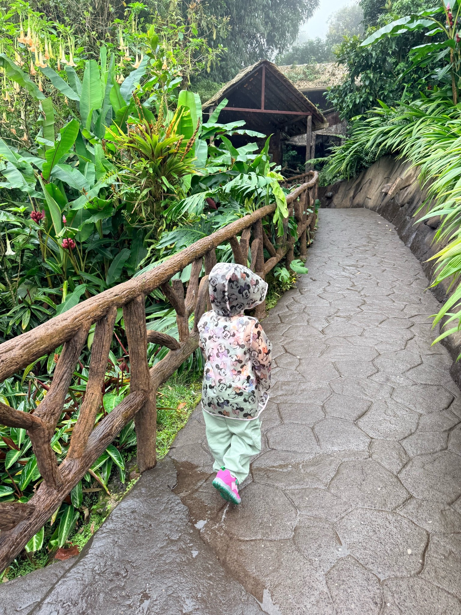 ☔️

#LTKmomlife #LTKKids #LTKTravel