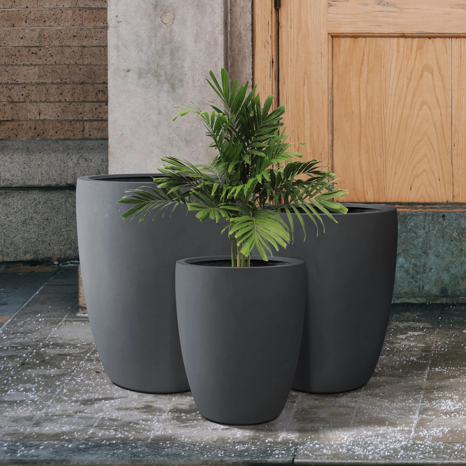 3 Piece Round Charcoal Finish Concrete Modern Tall Planters, Outdoor Indoor Decorative Plant Pots... | Wayfair North America