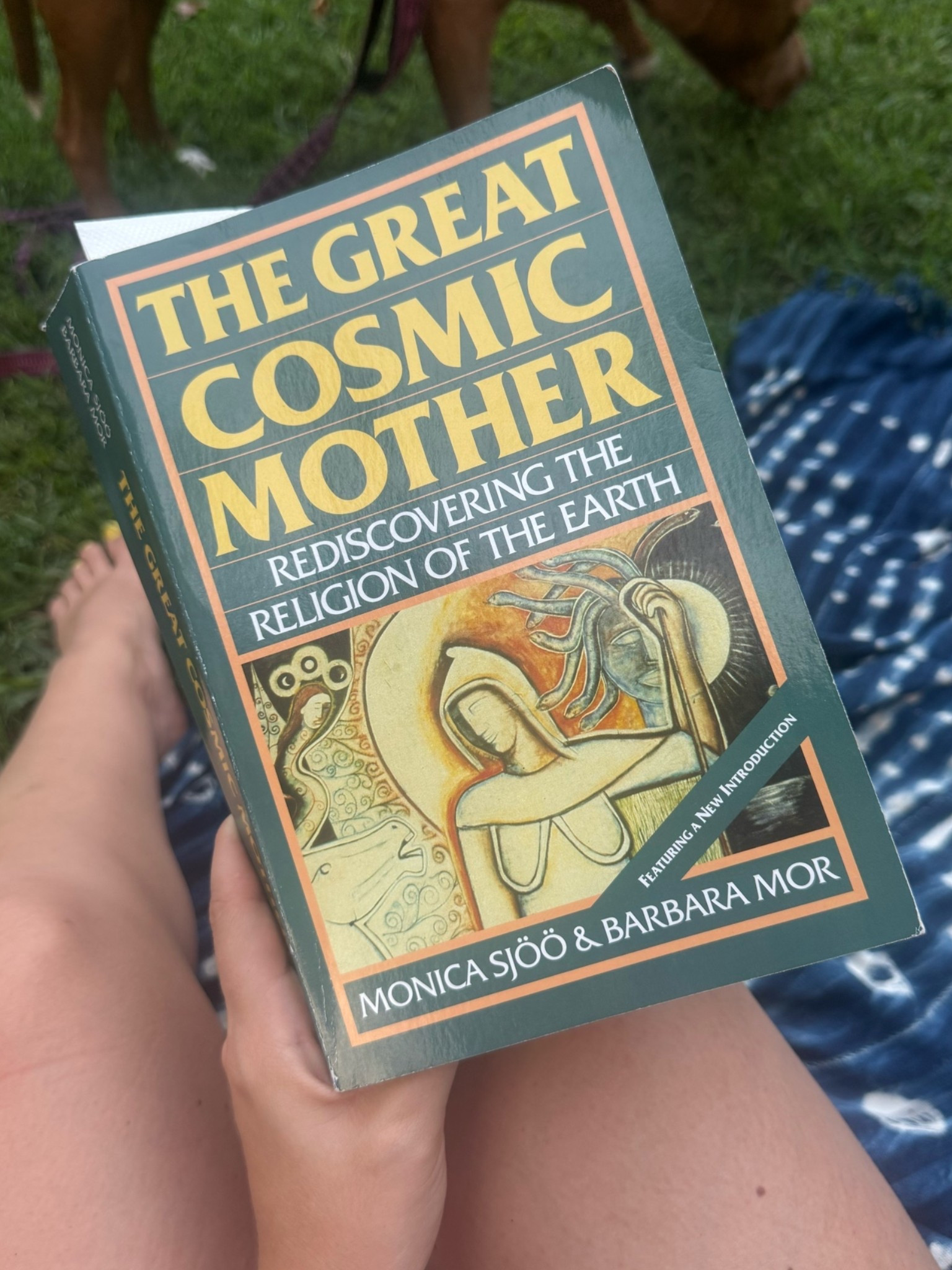 If you want to blow your mind wide open, if you feel a call to a matriarchal shift, if you want to learn just how incredible women are and always have been- READ THIS