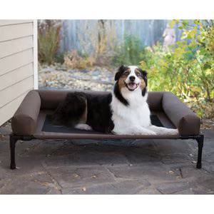 K&H Pet Products Original Bolster Pet Cot Elevated Dog Bed, Chocolate | Chewy.com