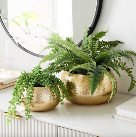 Brass Plant Pot #planter #plantpot #brassaccent #interiordesign #interiordecor #homedecor #homedesign #homedecorfinds #moodboard 

#LTKstyletip #LTKhome #LTKfindsunder100