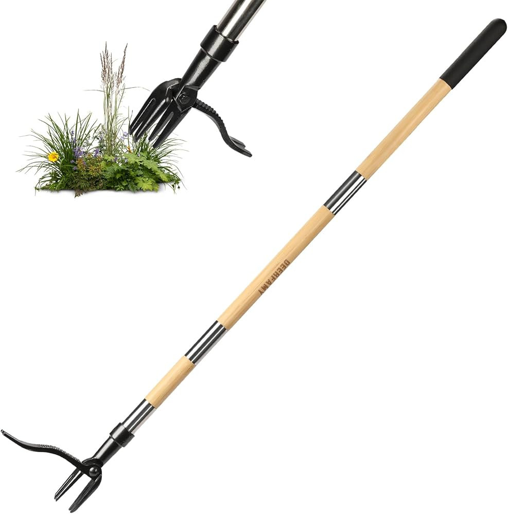 Visit the DEERFAMY Store | Amazon (US)