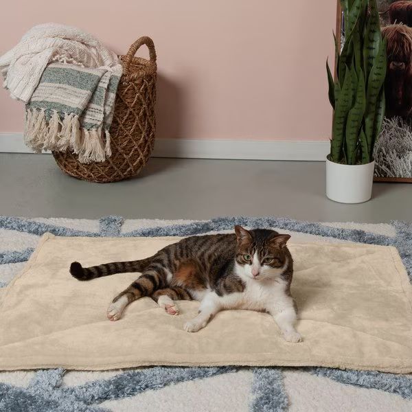 FurHaven ThermaNAP Faux Fur Self-Warming Dog & Cat Mat | Chewy.com