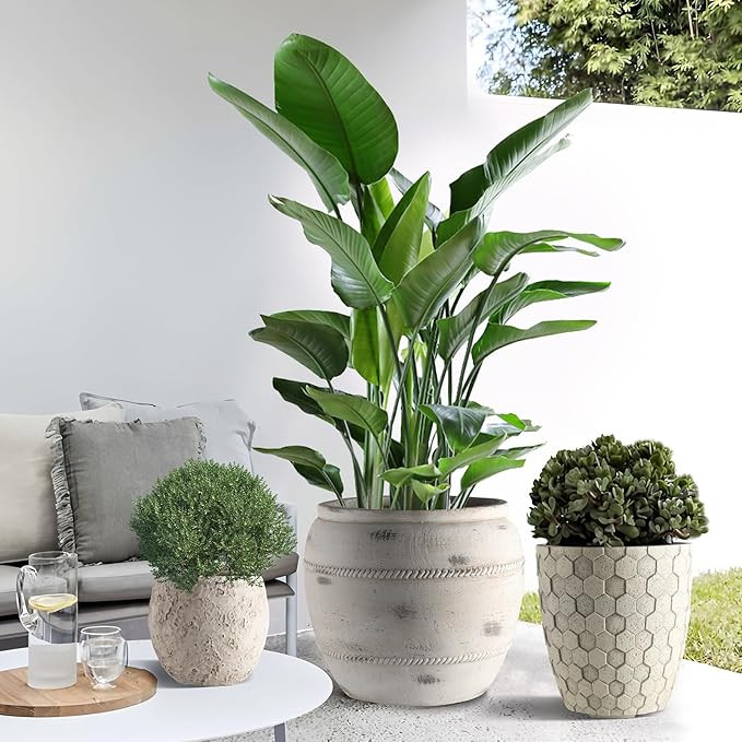 Round Concrete Style Planter Set of 3, Large Outdoor Flower Pots with Drainage, Stone Texture Pla... | Amazon (US)