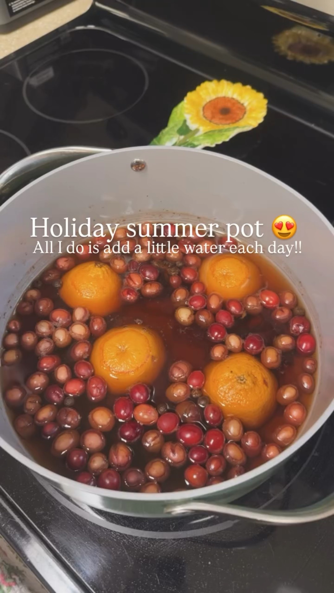 All I do is add a little water each day!! Holiday simmer pot 😍 

 

#LTKHoliday #LTKSeasonal #LTKFindsUnder50