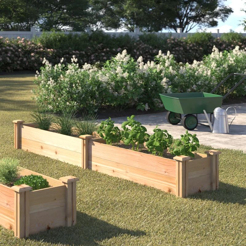 Wood Raised Garden Bed | Wayfair North America