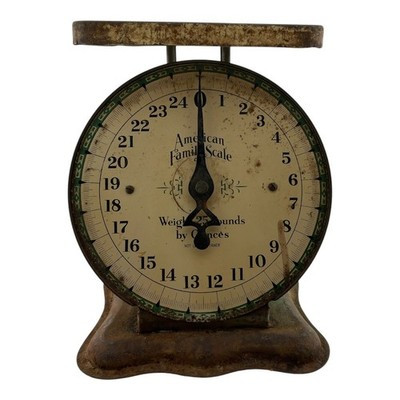 VINTAGE! American Family Scale Company green metal rustic mid-century farmhouse | eBay US