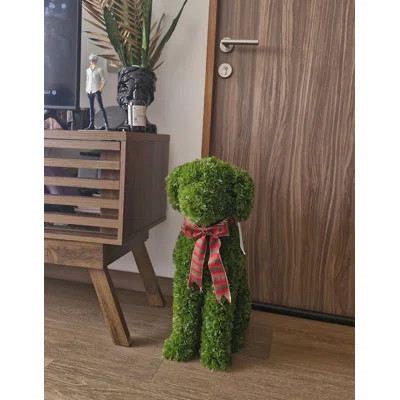 Topiary Decor Outdoor / Indoor | Wayfair North America