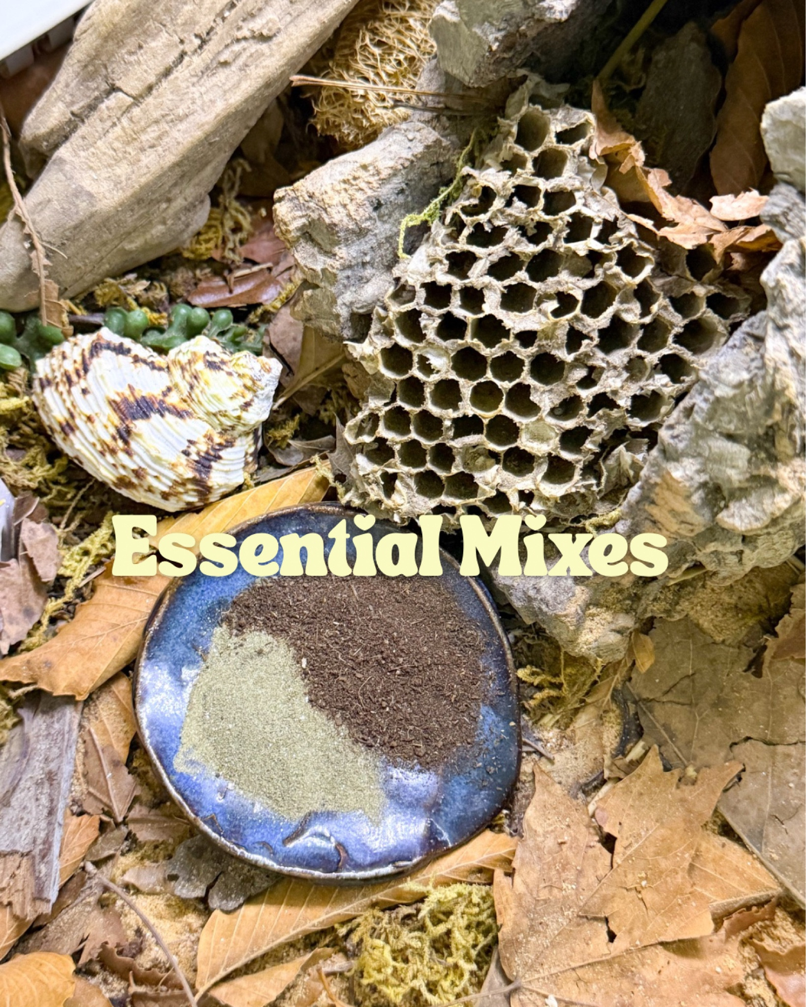 Essential mixes for your hermit crabs tankks