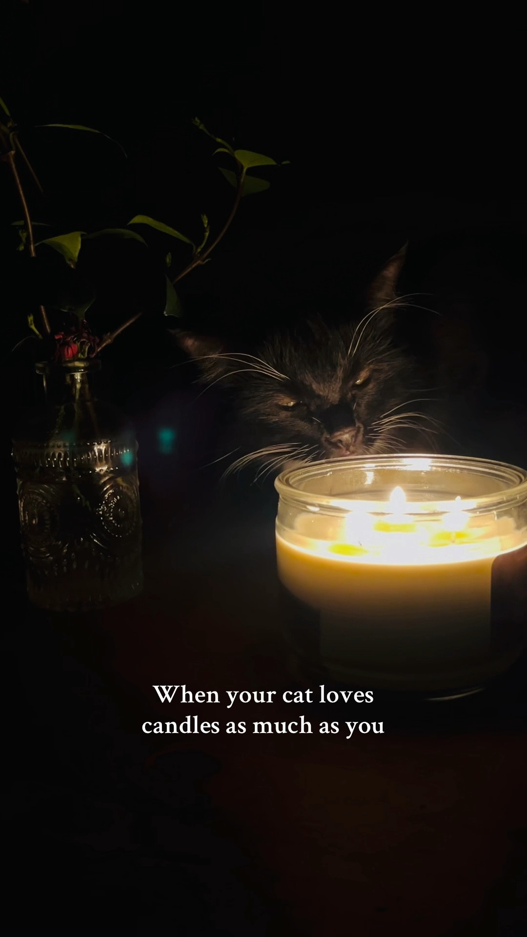 🐈‍⬛🕯️❤️

#LTKHome #LTKFamily #LTKSeasonal
