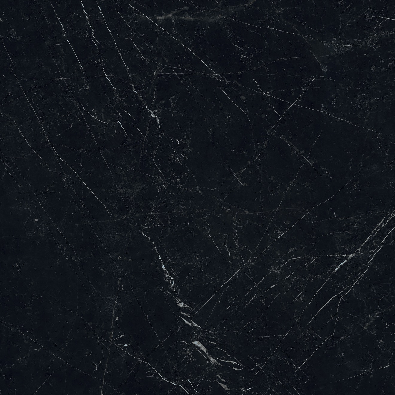 Magnifica Encore 60" x 126" - 12mm Polished Porcelain Slab in Nero Marquina | Bedrosians Tile & Stone