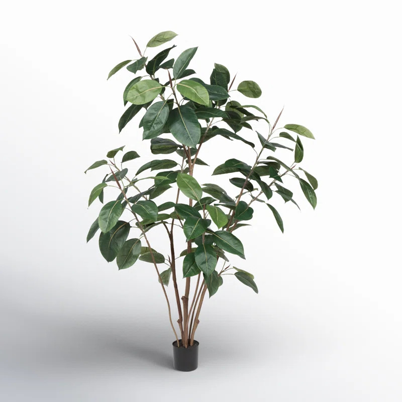 Birch Lane™ Solerno Potted Artificial Green Rubber Tree & Reviews | Wayfair | Wayfair North America