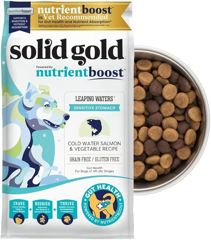 Solid Gold Salmon Dog Food for Sensitive Stomachs – Grain Free & Gluten Free Kibble w/Probiotic... | Amazon (US)