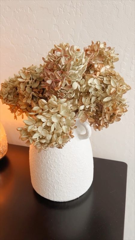 Air dried hydrangea Pee Gee flower stems, Etsy shop 

#LTKfindsunder50 #LTKhome #LTKSeasonal