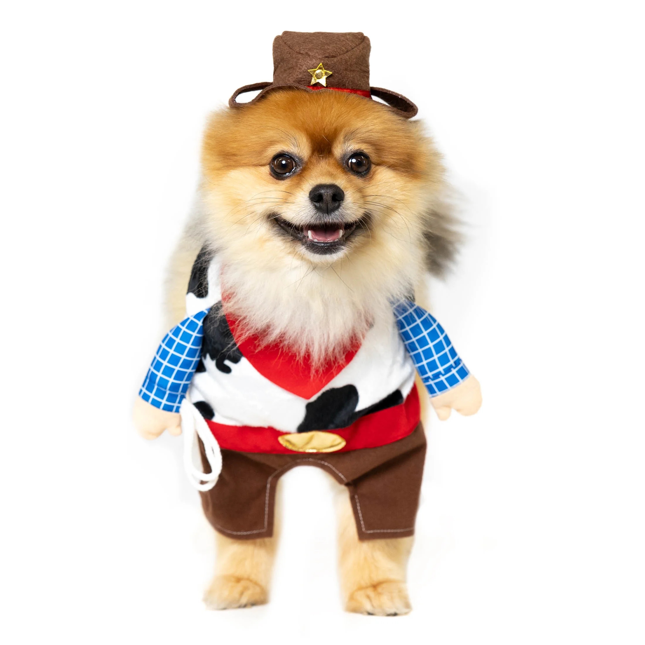 Vibrant Life Halloween Dog Costume and Cat Costume: Cowboy, Size Small | Walmart (US)