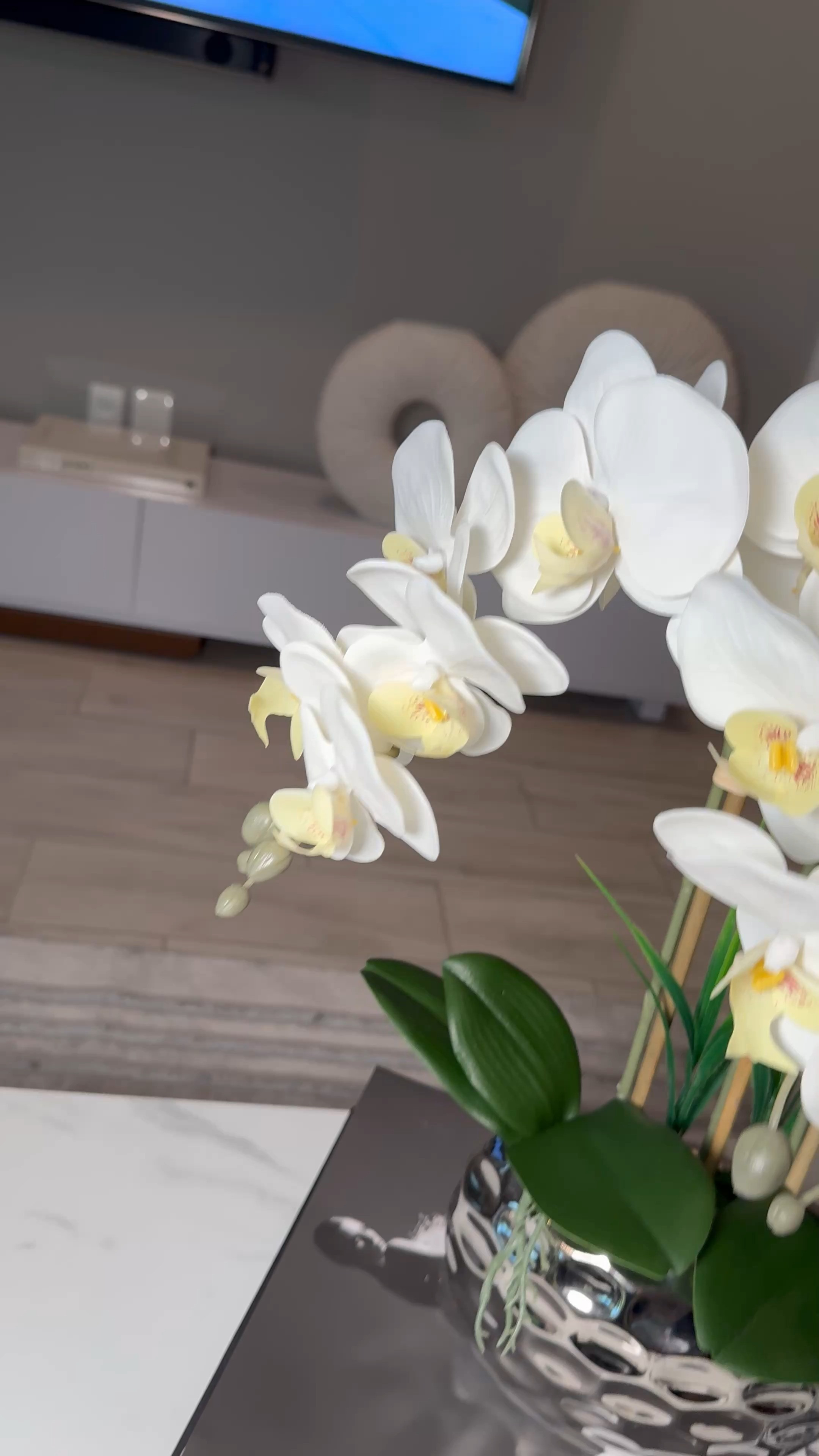 💫 Chic & Serene Vibes 💫
There’s something about white orchids that instantly adds calm and class to any space. Styled them in this textured glass vase, layered over my favorite coffee table books, Tom Ford + Dior Couture = chef’s kiss 🤍✨

Tap to shop this sophisticated setup and bring timeless elegance into your living room. 

 #LTKActive #LTKU #LTKHome
