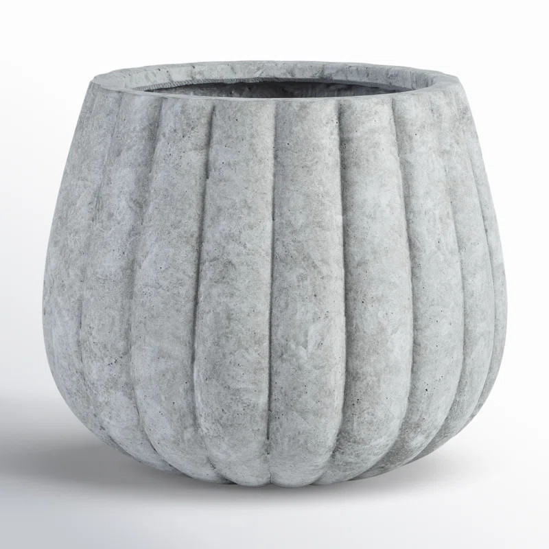 Prussia Concrete Pot Planter | Joss & Main
