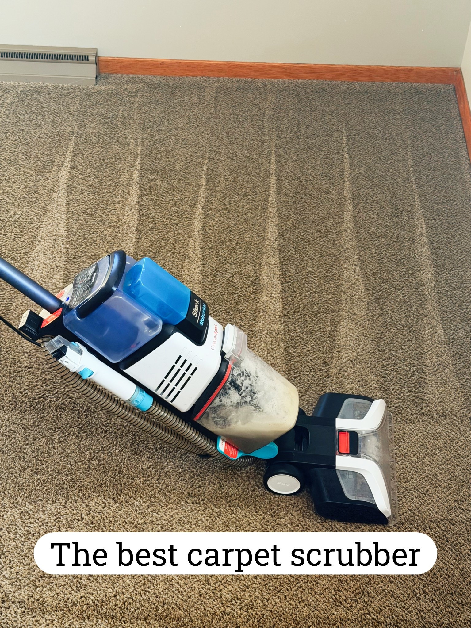 Built in stain remover, dual compartment, and super quick drying. Carpet was dry dry within an hour.

#shark #carpetcleaner #carpetshampooer 


#LTKSaleAlert #LTKHome #LTKmomlife