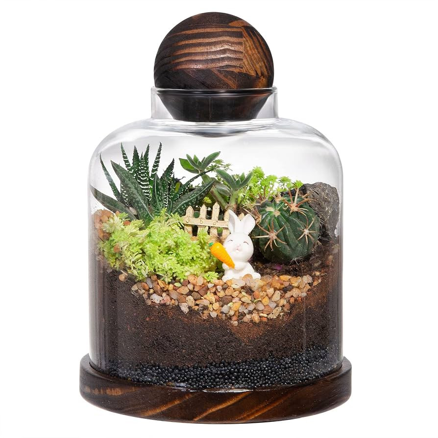 Yangbaga Large Glass Terrarium Succulent Plant Terrarium House for Plant/Moss Ball/Glass Fish Tan... | Amazon (US)