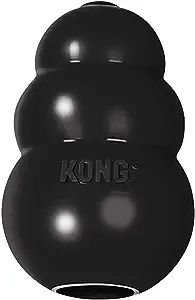 KONG - Extreme Dog Toy - Toughest Natural Rubber, Black - Fun to Chew, Chase and Fetch - for Larg... | Amazon (US)