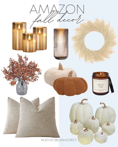 I'm loving all of these Amazon fall home decor items! They will make your space so cozy and aesthetically pleasing!

Amber pillar candles, amber vase, ivory wreath, fall floral arrangement, plush pumpkins, fall candle, neutral throw pillows, white assorted pumpkins

#LTKhome #LTKfindsunder50 #LTKstyletip