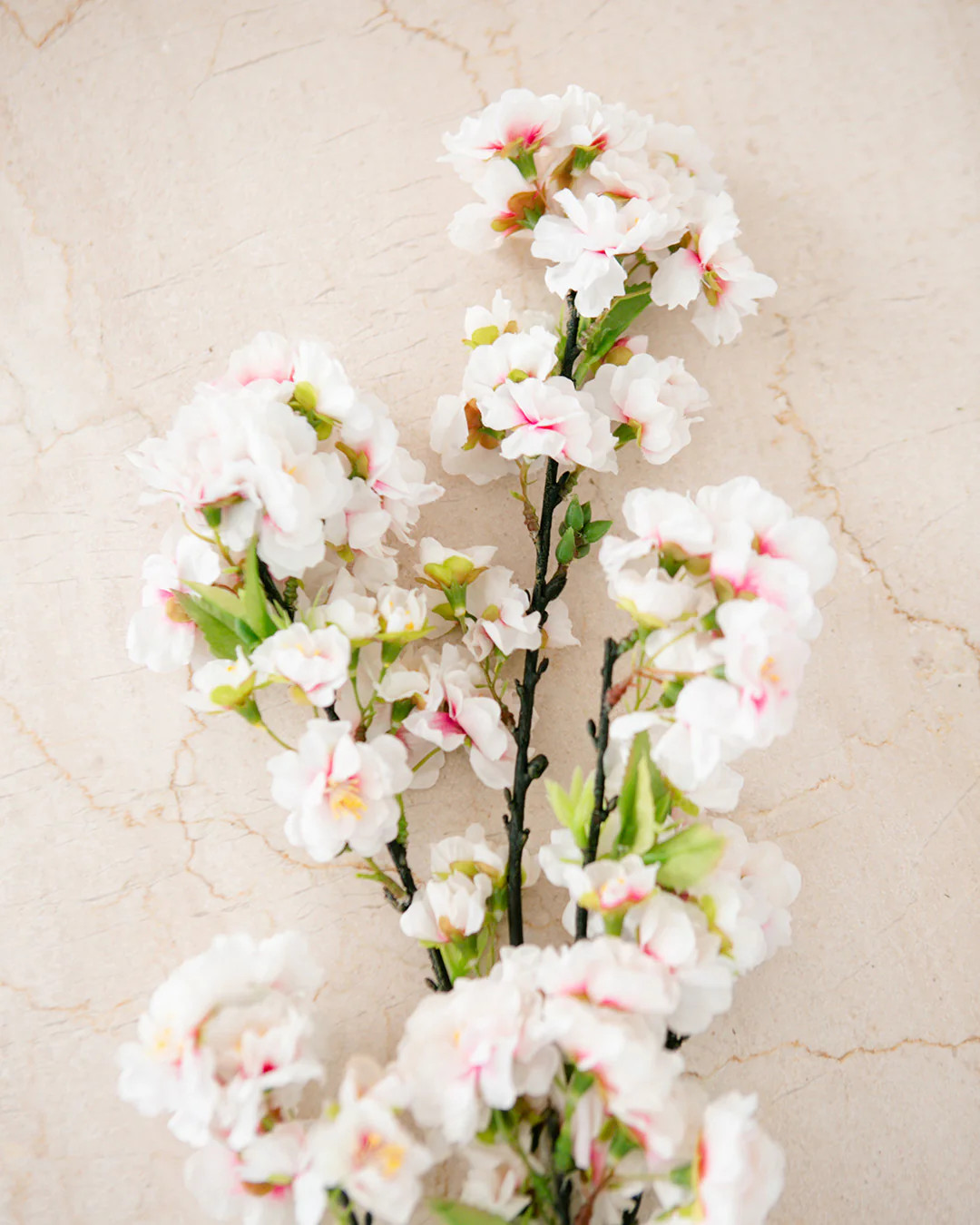 Cherry Blossom Stem | Elements by Remedy