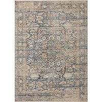 Angela Rose x Loloi Blake Collection BLA-03 Taupe / Blue, Transitional 7'-10" x 10'-2" Area Rug | Amazon (US)