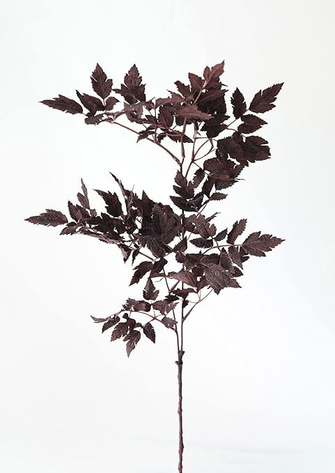 Afloral Plum Fake Cimicifuga Ramosa Leaves - 31" | Amazon (US)